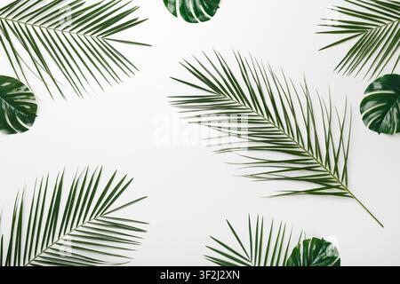 Natural background or wallpapers with monstera leaves Stock Photo