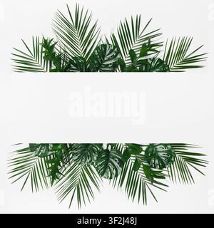 Creative tropical frame of monstera and palm leaves Stock Photo
