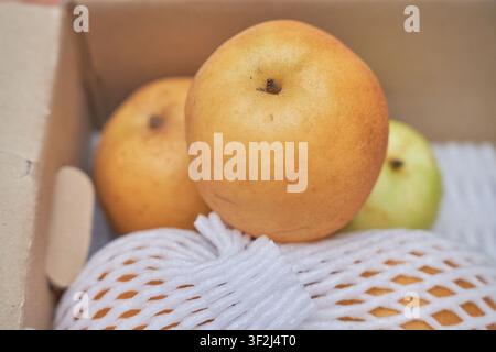 Boxed Wonhwang and Hwanggeum Asian pear varieties with protective mesh, perfect for autumn grocery trade and agricultural retail visuals. Stock Photo