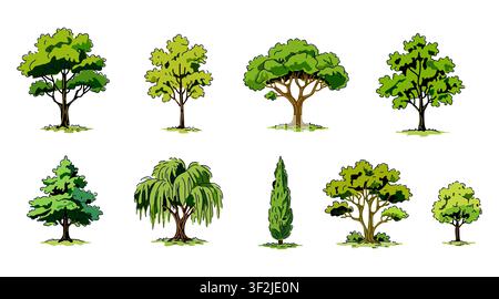 A comprehensive vector illustration set featuring various types of trees in a beautiful hand-drawn sketch style. This collection includes diverse tree Stock Vector