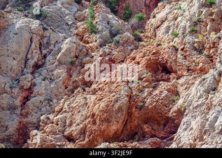 Rugged rock face with red and beige tones. Sparse green shrubs grow between cracks. Sunny lighting highlights textures and contours Stock Photo