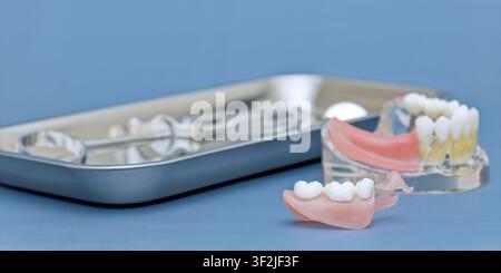 Removable partial denture in focus with transparent jaw model and blurred dental instruments on blue background, copy space Stock Photo
