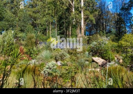 A solar panel system installed within a vibrant, lush forest garden, symbolizing sustainable living and harmonious renewable energy integration with n Stock Photo