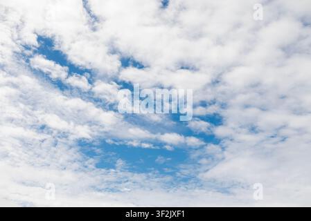 A bright, expansive sky filled with scattered, fluffy altocumulus clouds drifting across a vibrant blue backdrop, creating a serene and pleasant day. Stock Photo