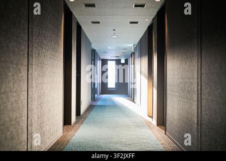 Modern hotel corridor interior with textured walls and carpet runner leading to a sunlit window Perfect for travel editorials and hospitality design Stock Photo