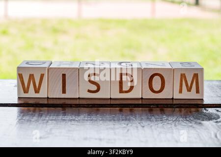 motivational word Wisdom made of letters on wooden cubes Stock Photo