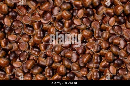 Edible sweet whole chestnuts pattern, textured background. Raw healthy delicious chestnut, autumn and christmas european food top view Stock Photo