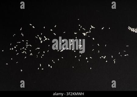 Grated scattered coconut powder pile. Dry coco flakes pile, shredded desiccated coconut, tropical fruit chips texture, shaved nut on black background Stock Photo