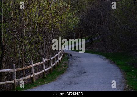 A peaceful road winding through a green woodland, framed by a wooden fence. Stock Photo