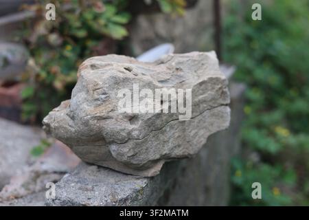 Close-up view of a textured sedimentary rock with layers and small holes Stock Photo