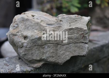 Close-up view of a textured sedimentary rock with layers and small holes Stock Photo