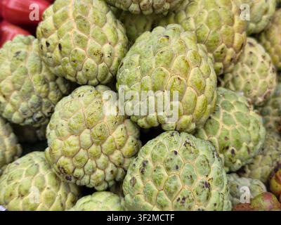 Group of fresh green sugar apples custard apples background Stock Photo