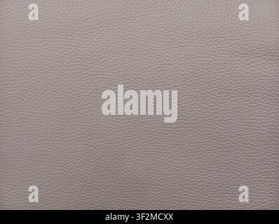 Grey beige leather surface texture background with natural fine grain Stock Photo