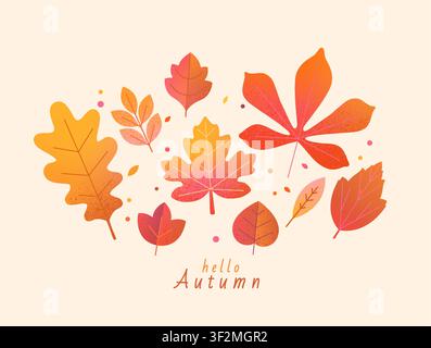 Set of isolated autumn leaves. Maple, oak, chestnut leaves, forest foliage. Botanical elements for design. Variety of autumn leaves in warm colors. Natural floral design. Vector illustration. Stock Vector