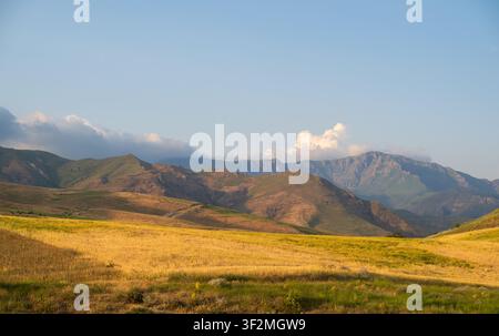 Golden grasslands stretch across rolling hills. Mountain range rises under clear blue sky. Few clouds float above rugged peaks Stock Photo