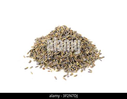 Dry lavender flowers pile isolated, lavandula perfume buds, petals, fragrance lilac blossoms, violet spice seeds, small dried purple flowers on white Stock Photo