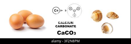 Eggs in shell as calcium carbonate, seashells isolated, CaCO3 supplement on white background Stock Photo