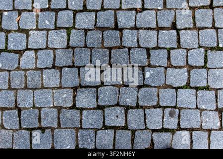 Grey granite cobblestone pavement texture background top view, natural stone block pavers pattern surface with moss details for urban sidewalk archite Stock Photo