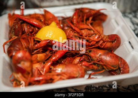 Cooked crawfish and a lemon wedge served in a white foam takeout container Stock Photo
