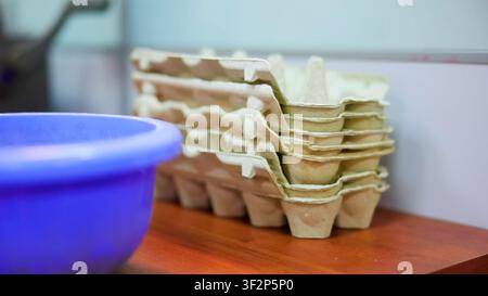 Organized Area With Egg Cartons. Quiet Supply Corner Featuring Recycled Pulp And Tidy Display . Media Stock Photo