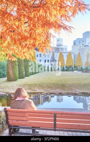 A visitor rests on a wooden bench facing a pond beneath vibrant orange autumn foliage perfect for urban lifestyle travel articles. Stock Photo