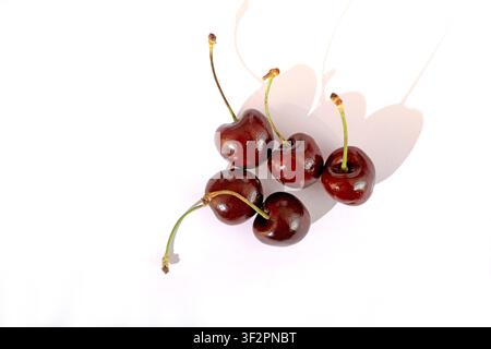 Five deep red, glossy cherries with green stems are arranged on a pure white background, showcasing their juicy texture and vibrant color under soft l Stock Photo