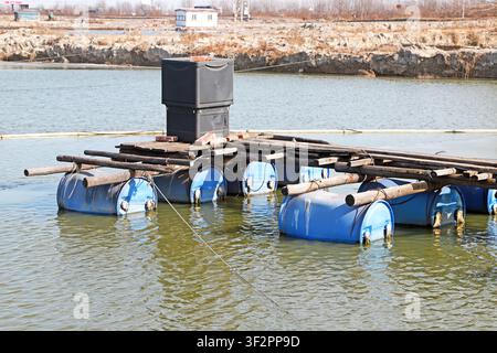 A simple floating work platform constructed from blue plastic barrels and old wooden planks in an aquaculture pond in Northern China, with black stora Stock Photo