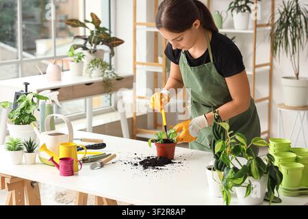 Young woman in apron and gloves repotting a houseplant on a white table with gardening tools, She uses a yellow hand tool to work with the soil on a c Stock Photo