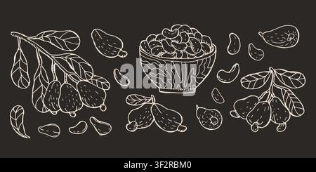 Vector cashew nut sketch set. Fruit illustration on black background. Vintage sketch of cashew branch and leaves and fruits. White outline engraving illustration for wrapping, food background Stock Vector