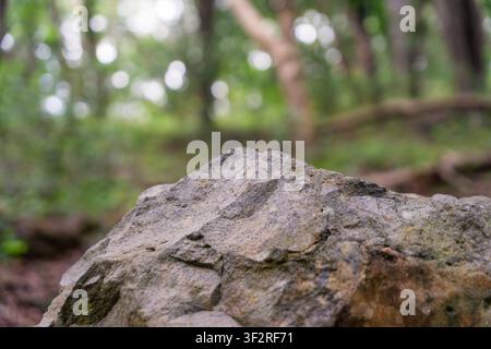 rock pedestal for a product display stand, green forest and blurred on the background Stock Photo