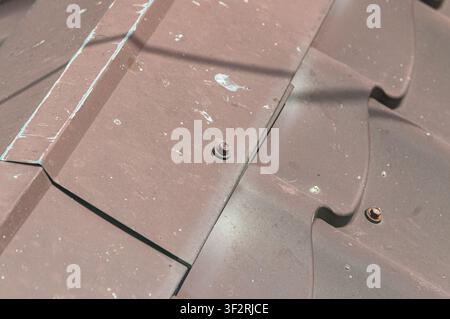 A close-up view of brown metal roofing tiles with visible screws and weathered texture. The tiles are arranged in a wavy pattern on a building's exter Stock Photo