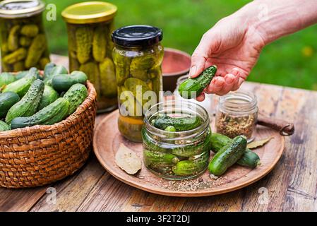 Woman hands pickling cucumbers in glass jar from home garden. Pickled Cucumbers in glass jar. Homemade cucumber pickles Stock Photo