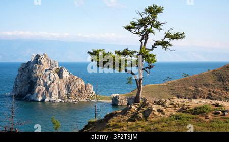 A scenic landscape photograph featuring a prominent coniferous tree growing on a rocky cliff in the foreground. In the midground, a large, distinctive Stock Photo