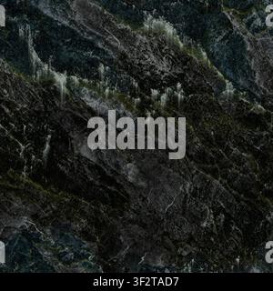 A high-contrast black marble surface with sharp, bright white or pale mineral veins. Stock Photo