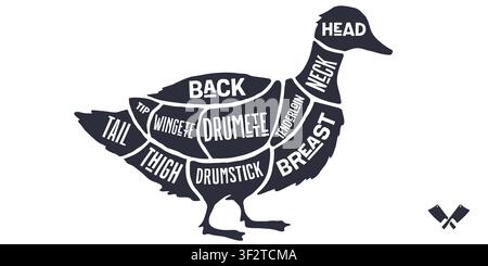 Duck, poultry, hand-drawn butcher cuts Stock Vector
