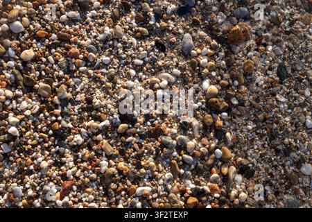 Texture of multi colored wet sea pebbles, small smooth rocks and coarse sand on ocean shore during sunny day overhead view. Stock Photo
