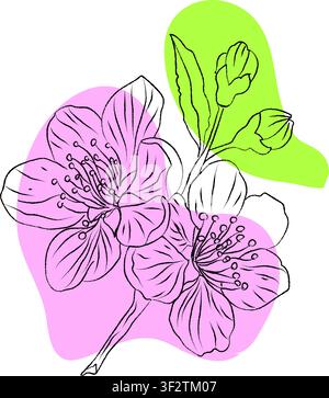 Realistic Illustration of cherry blossom tree branch, EPS format, pink blossom branch illustrations, Clean vector set ideal for packaging, label Stock Vector