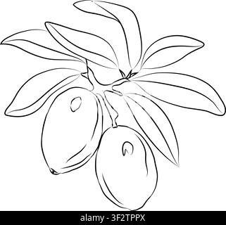 Sketch Vector argan branch line art, hand-painting design set, EPS format, outline drawing for argan drawing, Doodle hand-drawn icon set, outline Stock Vector
