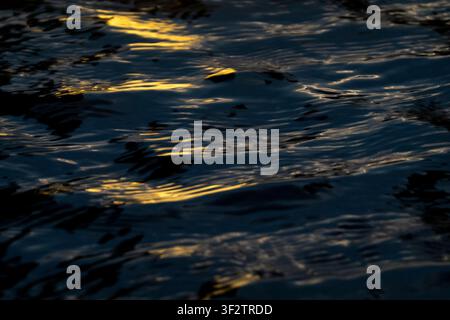 Abstract dark indigo water ripples with fluid golden light reflections. Deep navy tones contrast with shimmering amber highlights, creating a serene a Stock Photo