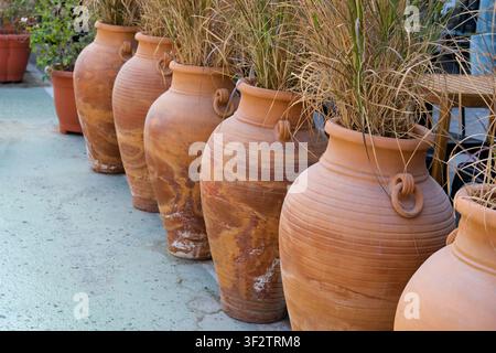 Large terracotta pots with ornamental grass arranged outdoors. Rustic planters for Mediterranean garden, terrace design. Stock Photo