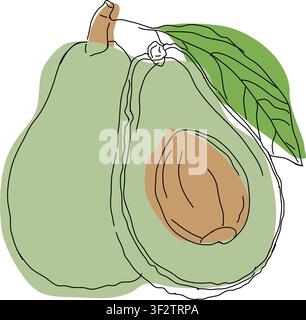 outline drawing for Avocado, design, slices Avocado line art, hand painting set, EPS format, Vector Avocado isolated. Vector cartoon Stock Vector