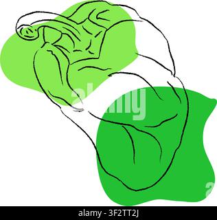 Outline drawing for bell pepper, design, bell pepper line art, hand-painting set, EPS format, Vector bell pepper branch isolated. Vector cartoon Stock Vector