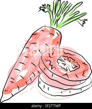 Outline drawing for carrot, vector design, vector carrot line art, hand painting design set, EPS format, doodle hand drawn icon set, Outline Stock Vector
