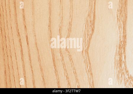 Horizontal close up macro view of a pale beige wood texture with clean natural ash timber grain and soft wavy lines for modern interior background des Stock Photo
