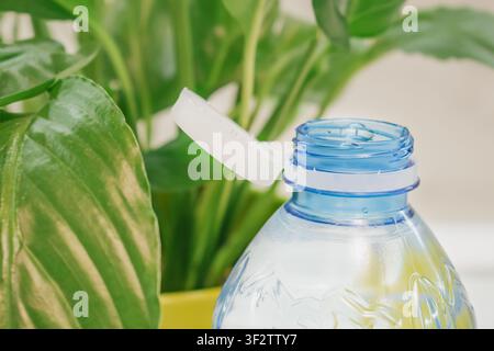 Macro view of an open clear blue plastic bottle showing attached white tethered cap designed under European eco regulation near lush green houseplant Stock Photo