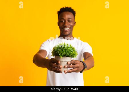 Young smiling african man holding pot with green plant Stock Photo