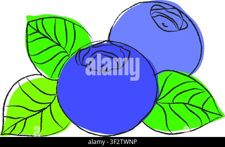 Vector blueberry branch isolated. Vector cartoon illustration. Flat icon of a vegetable branch. blueberries flat illustration. Stock Vector