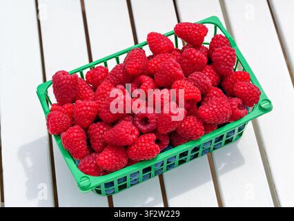 Small Green Basket Filled with Fresh Red Raspberries on a Table Stock Photo