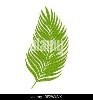 Vector illustration of a tropical palm leaf. Hand drawn exotic botanical branch element in green color for logo design, summer card, and icon. Stock Vector