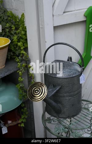 Brass rose watering can Stock Photo